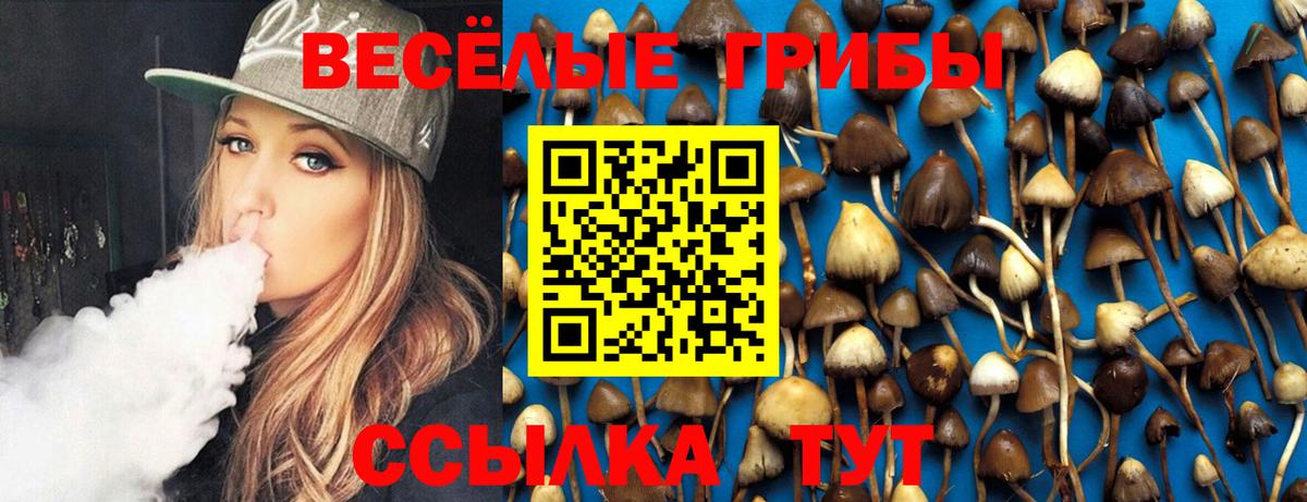 Псилоцибиновые грибы Psilocybine cubensis Елизово