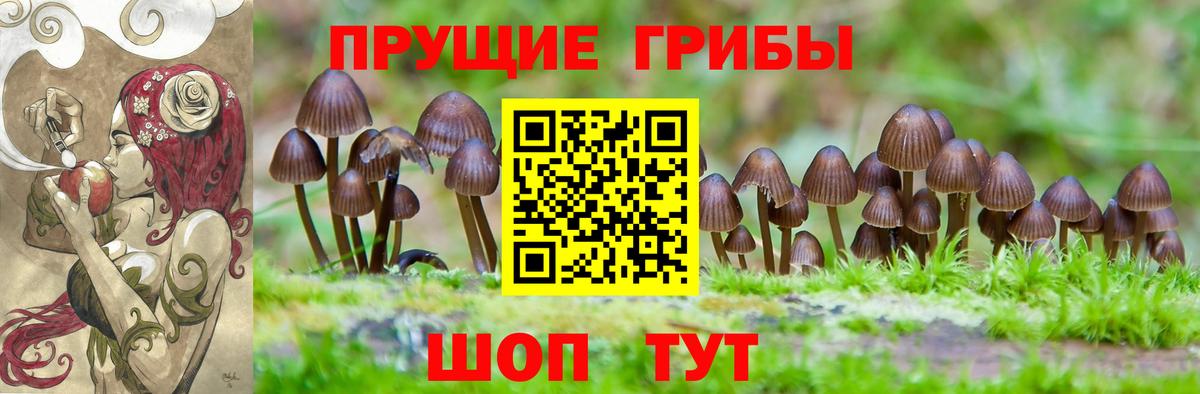 Елизово  Галлюциногенные грибы мухоморы  Галлюциногенные грибы прущие грибы  наркошоп  Вход с VPN 
